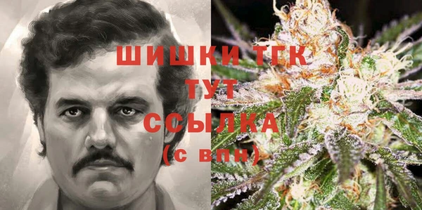 тгк Богородск